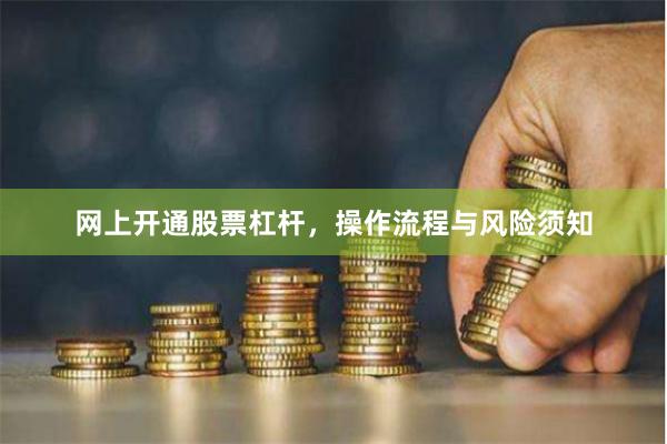 网上开通股票杠杆,操作流程与风险须知