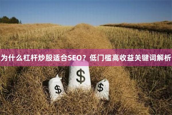 为什么杠杆炒股适合SEO？低门槛高收益关键词解析